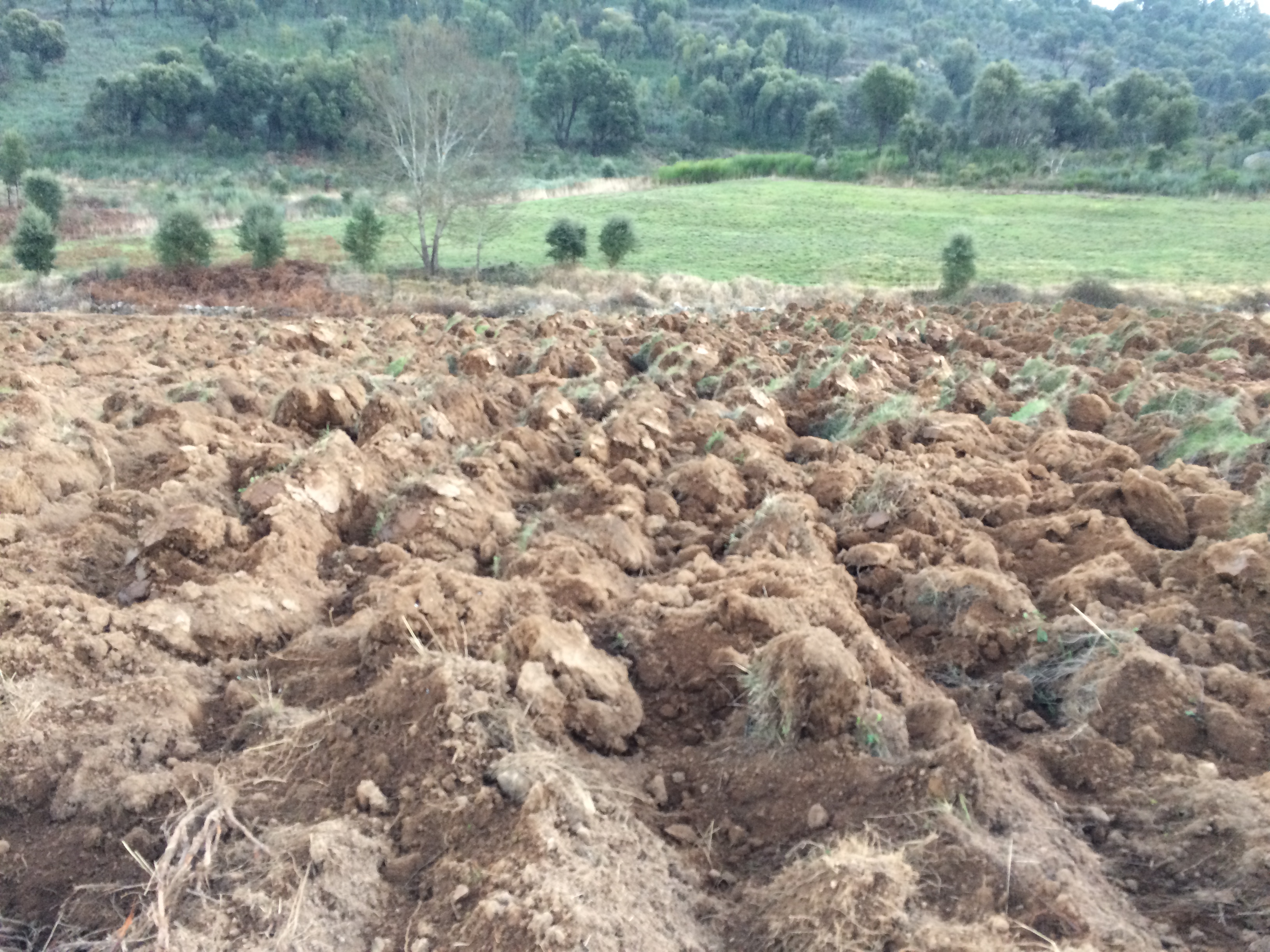 Tierras aradas en Montemiau Dic 2016 (1)